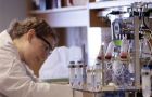 With a sample confirmed in a UK lab, Brazil immediately reported the case to the OIE