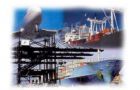 The imports non automatic licences and ‘balanced’ imports with exports are the main complaint