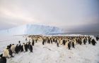 The newly-discovered 9,000-strong emperor penguin colony on Antarctica’s Princess Ragnhild Coast