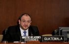 Guatemala’s Foreign minister Carrera Castro making his presentation before the OAS Permanent Council