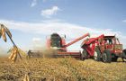 Soybeans has become the main crop for Argentine farmers