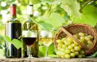 World wine production has increased significantly in 2013 and consumption is stabilizing says latest OIV report