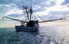 The fraudulent operation involves at least 200 fishing vessels operating from Galicia