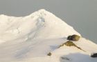 Even if found they can't be exploited because of Antarctic treaties specifically banning mining