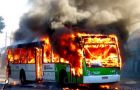 The twelve homicides on the same night were followed by the torching of three buses and a private car