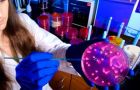 Teixobactin has yet to be trialed in humans, but could one day be used to treat drug-resistant infections caused by the superbug MSRA, as well as tuberculosis