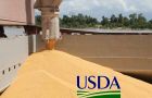 USDA trimmed its 2015/16 Brazil corn harvest outlook by 3.5mmetric tons to 77.50m metric tons and its Brazil soy harvest outlook by 2m metric tons to 97m tons