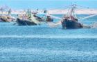 Conapesca plans to sell its shrimp fishing freezer fleet plus two processing plants in Puerto Madryn and Rawson, reports Revista Puerto.
