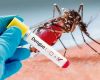 Considerable increase in dengue cases in Argentina
