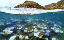 UNESCO did not recommend placing the reef on its endangered heritage list, but did ask Australia to update protection efforts by early next year.