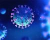 New variants of Covid-19 spreading rapidly worldwide