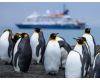 South Georgia, Poseidon Expeditions promotes travel and conservation