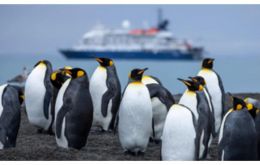 Poseidon Expeditions will donate £100 to the South Georgia Heritage Trust every time a new passenger books a cruise featuring South Georgia