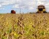 Next season Brazil is anticipated to plant soybeans on 46.53 million hectares, up from 46.16 million hectares in the last cycle.