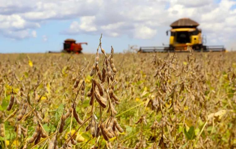 Next season Brazil is anticipated to plant soybeans on 46.53 million hectares, up from 46.16 million hectares in the last cycle.