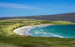 A total of 67% of respondents agreed with the concept of designating a national park in the Falklands, and 54% agreed with the proposed location for the park