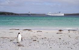 Given the importance of the tourist sector, the Falklands Government, where possible, will compensate for losses associated with HPAI-related restrictions