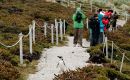 Tourists exploring the Falklands.