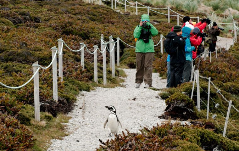 Tourists exploring the Falklands.