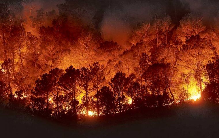 “When the forest burns for the first time, it becomes more susceptible to other fires,” Alencar explained 