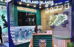 Falklands stand at Birmingham