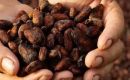 Cocoa producers say the Dec. 30 deadline set by the EU to ban products from deforested areas was “unrealistic”