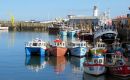 The introduction of minimum conservation reference sizes (MCRS) for lemon sole (250mm), turbot (300mm), and brill (300mm) in the English waters 