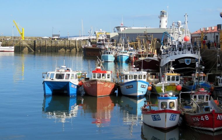 The introduction of minimum conservation reference sizes (MCRS) for lemon sole (250mm), turbot (300mm), and brill (300mm) in the English waters 