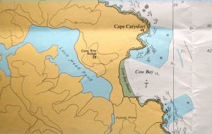 Cow Bay map, north of Stanley