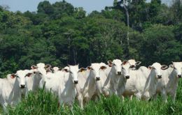 Brazil has a traceability protocol to export to EU; the SISBOV system mandates individual identification and monitoring of cattle at least 90 days before slaughter