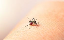 Paraguay is an endemic country for dengue fever, which circulates all year round