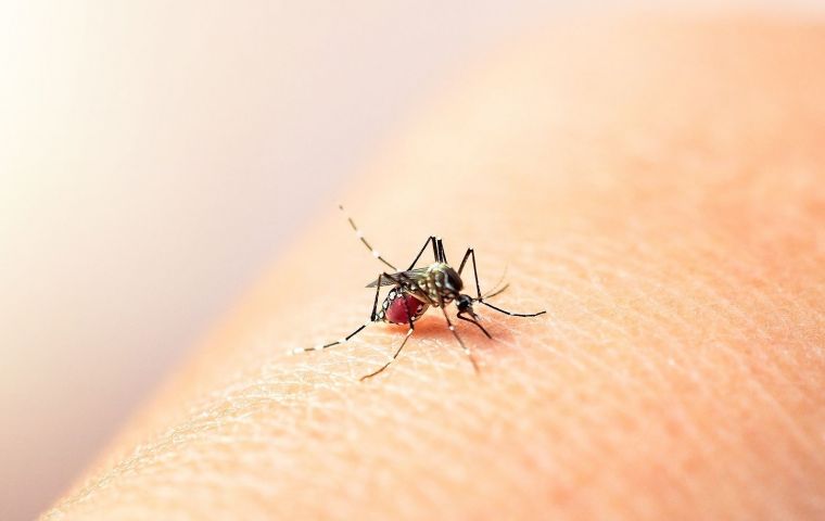 Paraguay is an endemic country for dengue fever, which circulates all year round