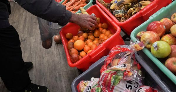 FAO food price index of November, the highest since April 2023, stimulated by dairy and vegetable oils – Mercopress