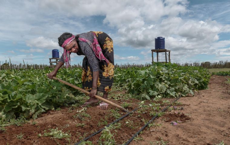 Agriculture uses roughly 70% of global freshwater, land and soil degradation are directly undermining agri-food systems with human-induced degradation