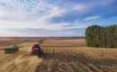 “Cool weather and significant rainfall in November have proven pivotal, especially in the Buenos Aires Province, Argentina’s largest wheat-producing region,” BCR said