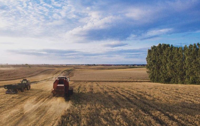 “Cool weather and significant rainfall in November have proven pivotal, especially in the Buenos Aires Province, Argentina’s largest wheat-producing region,” BCR said