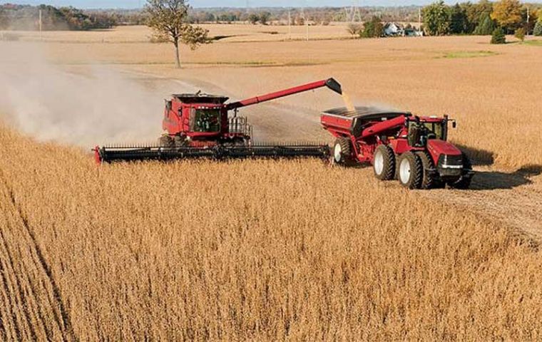 The total crop works out at an average yield of 3.000 kilos per hectare, according to the Paraguayan Chamber of Grain and Oilseed Exporters and Traders, Capeco.