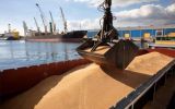 Wheat exports from Russia are expected to reach some 29.4 million tons in the first half of 2025