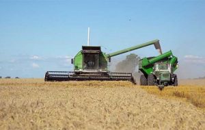 Argentina is also harvesting a record crop in the last five years 