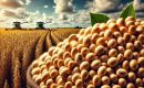 Soybeans total production is estimated at 166.33 million tons, 18.61 million higher than the previous crop with an average yield of 3.509 kilos per hectare