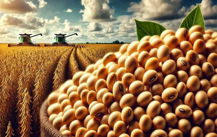 Soybeans total production is estimated at 166.33 million tons, 18.61 million higher than the previous crop with an average yield of 3.509 kilos per hectare