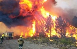 Accelerants were detected where the fires are believed to have started