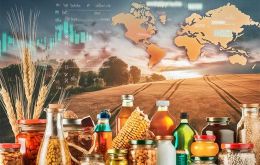 The FAO Vegetable Oil Price Index decreased by 5.6% from the previous month, reversing a recent increase, though it remained 24.9% higher than a year ago