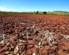 Drought in Paraguay