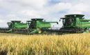 Rio Grande do Sul is southern Brazil is the leading producer and exporter of the country’s rice industry