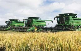 Rio Grande do Sul is southern Brazil is the leading producer and exporter of the country’s rice industry