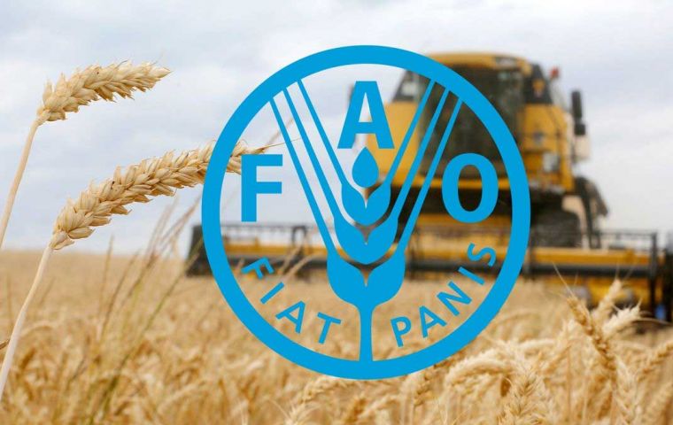 Harvesting of the 2025 coarse grain crops is beginning in the southern hemisphere, with maize output expected to increase in Brazil and South Africa.