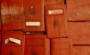 The boxes were found in the basement, where non-digitized documentation is stored