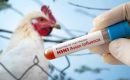 Brazil has been monitoring avian flu since the 2000s