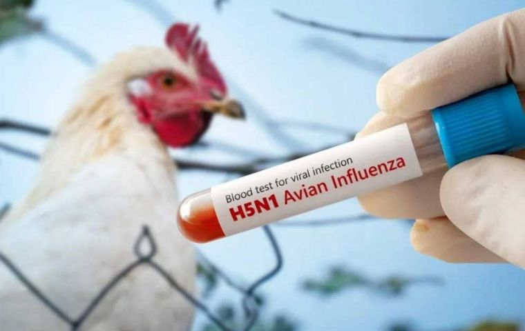 Brazil has been monitoring avian flu since the 2000s
